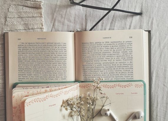 Organiza tu año. Profesora-Investigadora. Mariana Palma Tenango